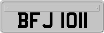 BFJ1011
