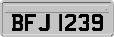 BFJ1239