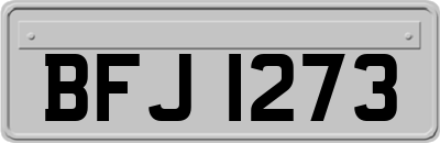 BFJ1273