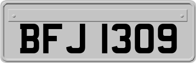 BFJ1309