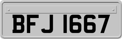 BFJ1667