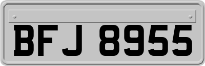 BFJ8955