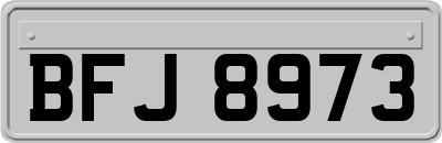 BFJ8973