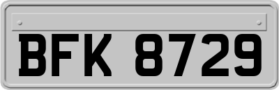 BFK8729