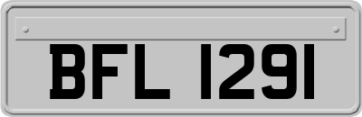 BFL1291