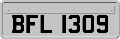 BFL1309