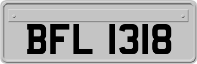 BFL1318