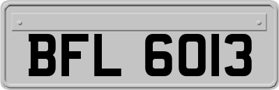 BFL6013
