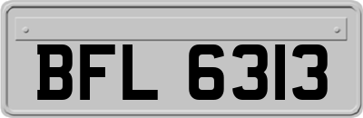 BFL6313