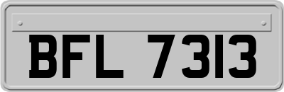BFL7313