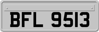 BFL9513