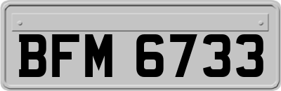 BFM6733