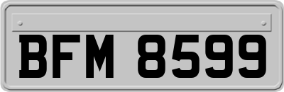 BFM8599