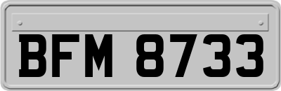 BFM8733