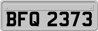 BFQ2373