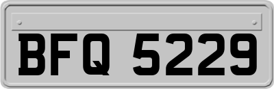 BFQ5229