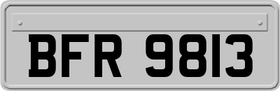 BFR9813