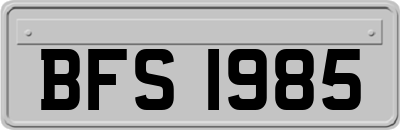 BFS1985