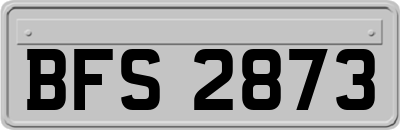 BFS2873