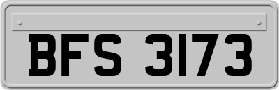 BFS3173