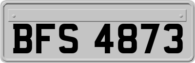 BFS4873