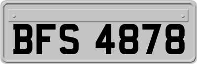 BFS4878