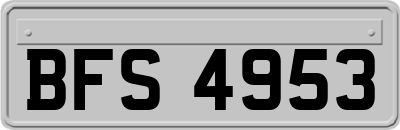 BFS4953