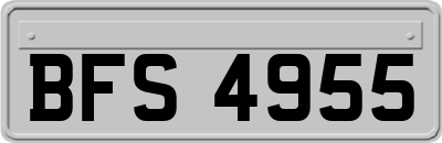 BFS4955