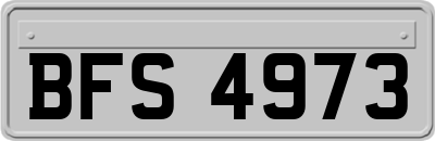 BFS4973