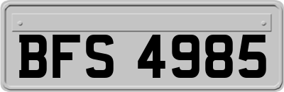 BFS4985