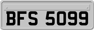 BFS5099