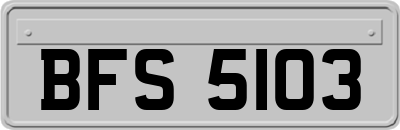 BFS5103