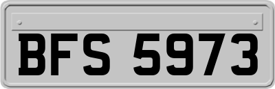 BFS5973