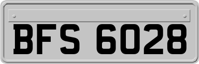 BFS6028