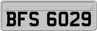 BFS6029