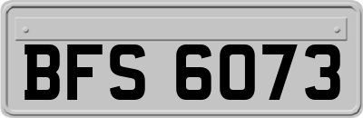 BFS6073