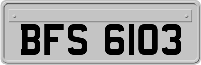BFS6103