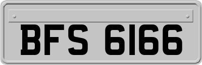 BFS6166