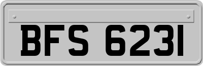 BFS6231