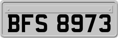 BFS8973