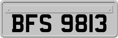 BFS9813