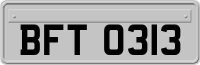 BFT0313