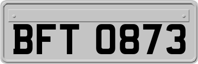 BFT0873