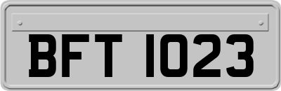 BFT1023