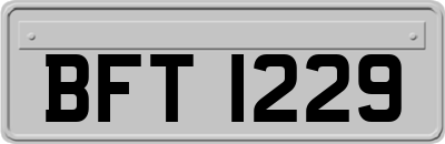 BFT1229