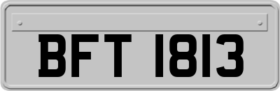 BFT1813