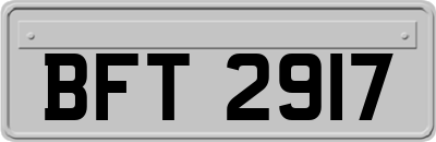 BFT2917