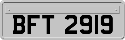 BFT2919