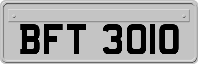 BFT3010