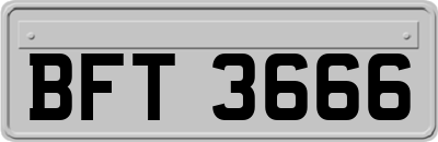 BFT3666